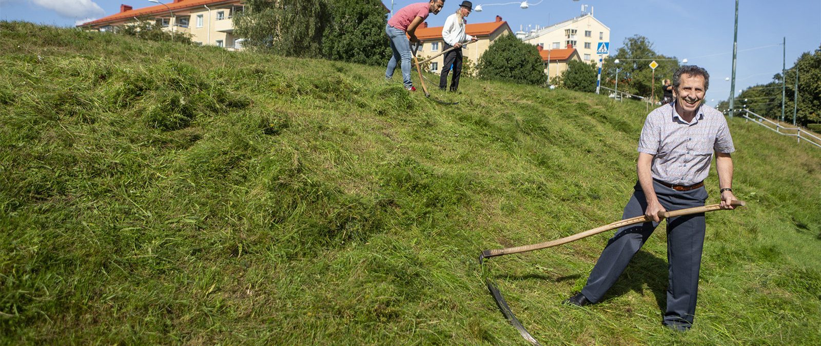 Slå grönytor med lie i stället för trimmer eller röjsåg